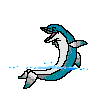 dolphin2.gif