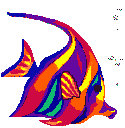 fish1.jpg