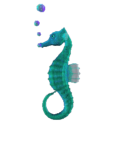 seahorse1.gif