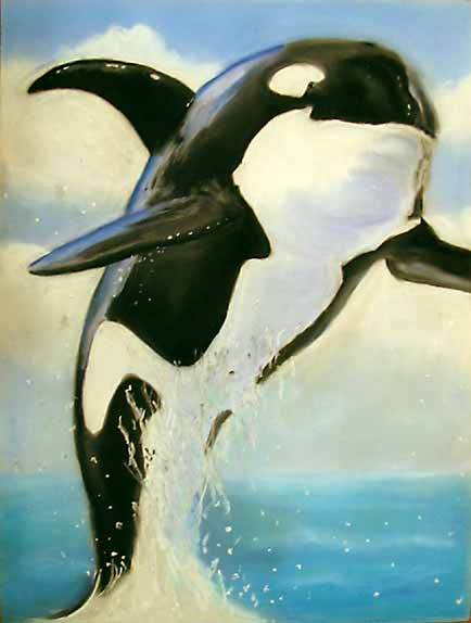 whales4.jpg